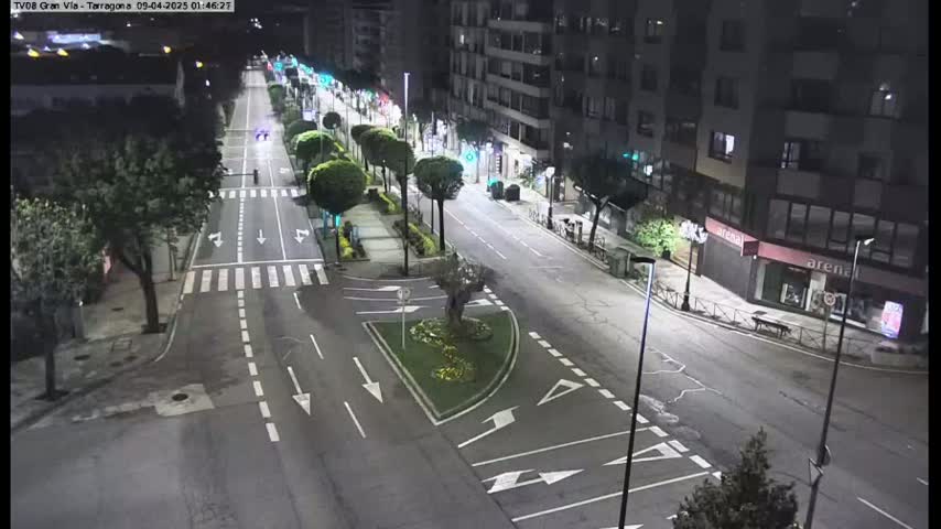 A mostly empty city street at night, lined with trees and streetlights, intersects with another street at a traffic island with landscaping.