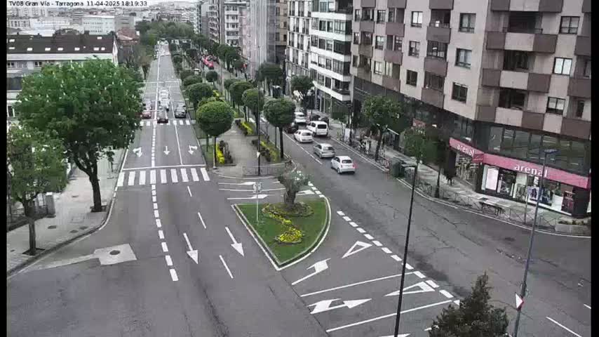 A tree-lined city street with several cars driving on it and buildings lining both sides of the road.