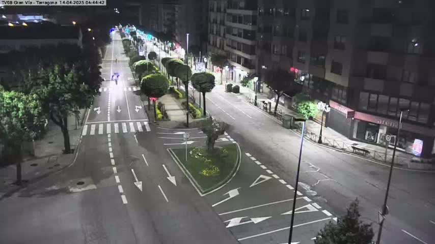 A mostly empty, well-lit city street at night, with some trees and buildings lining the sides.