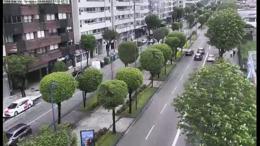 A wet street lined with trimmed trees and parked cars runs past several buildings, with a few cars visible on the road.