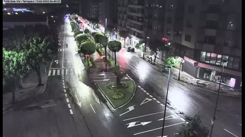 A rain-slicked city street at night, lined with trees and buildings, shows a few cars driving.