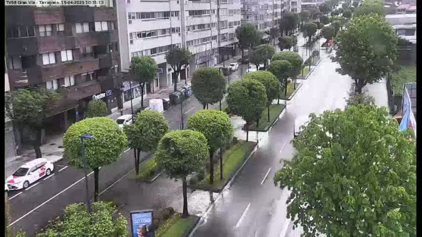 A rain-slicked street lined with lush green trees and buildings, with a few cars visible.