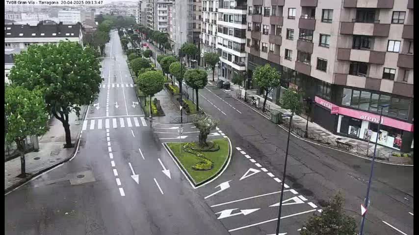 A wet, empty city street lined with trees and buildings, showing a mostly empty intersection.