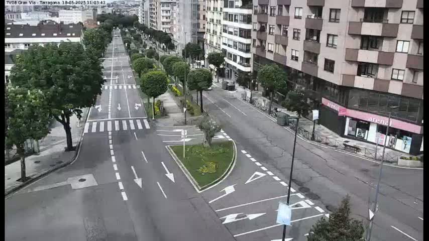 A wide, tree-lined city street with minimal traffic on a sunny day.
