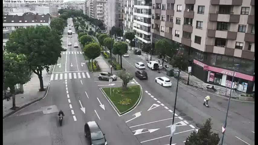 A city street scene shows several cars driving on a paved road that intersects with a cross street; a motorcyclist is visible in the intersection, and there are trees and buildings lining the street under a mostly clear sky.