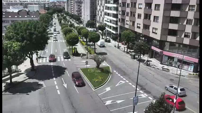 A sunny day on a city street shows several cars driving past buildings and trees.