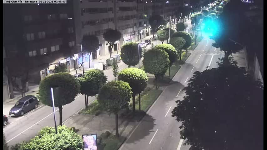 A nighttime view of a city street lined with trees and buildings, illuminated by streetlights.