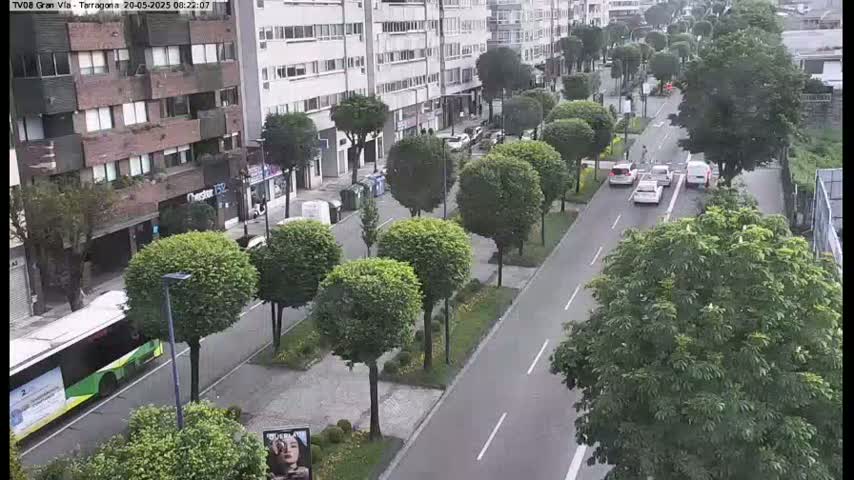 A street scene shows several cars driving on a roadway lined with trimmed trees and multi-story buildings; the weather appears to be overcast.