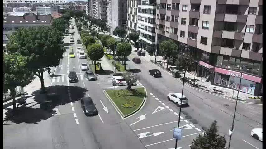 A sunny day reveals a city street scene with several cars driving on a multi-lane road flanked by buildings and lined with trees.