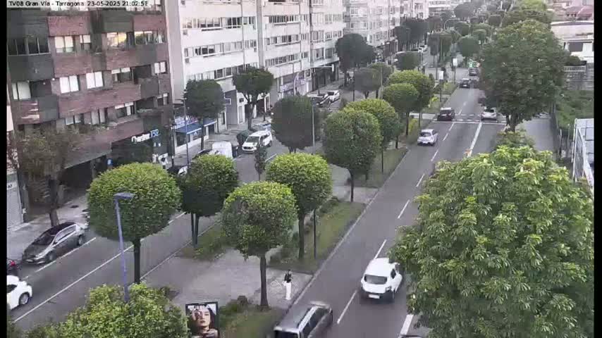 A city street with parked and moving cars, lined with buildings and trimmed trees, is slightly wet under an overcast sky.