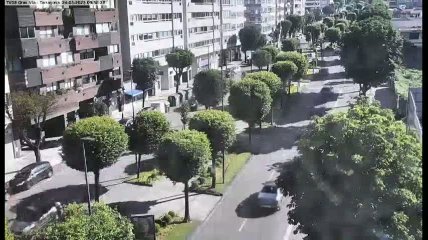 A sunny day shows a street lined with trees and cars, with apartment buildings visible in the background.