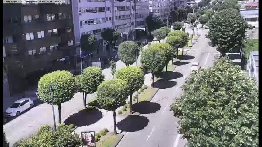 A sunny street scene shows a roadway lined with short, round trees casting shadows, and cars parked and driving past apartment buildings.