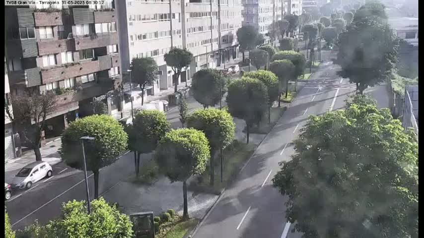 A mostly sunny street scene shows a two-lane road lined with lush green trees, several parked cars, and a multi-story apartment building.