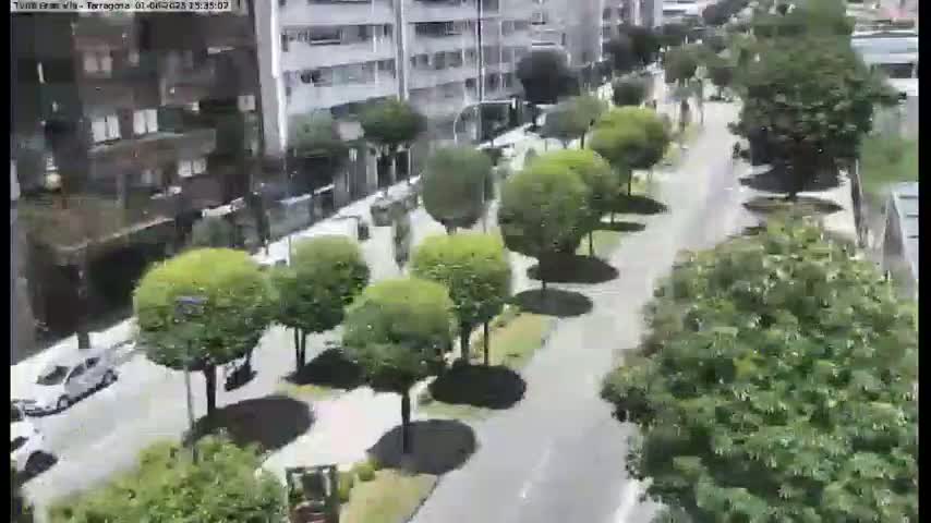 A street lined with neatly trimmed trees and parked cars is viewed from above on a sunny day.
