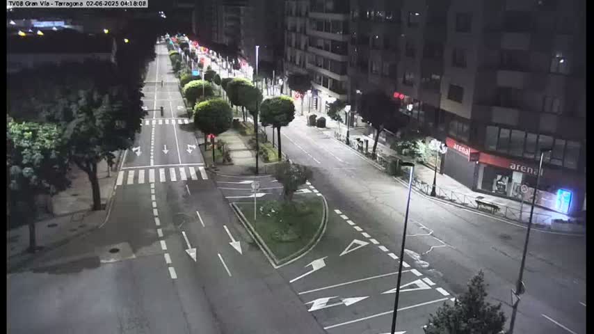 A nighttime view of a mostly empty city street with trees lining the sides and streetlights illuminating the road.