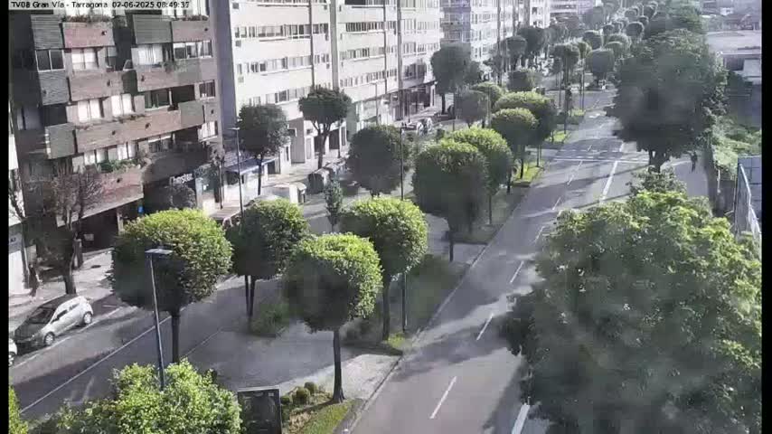 A sunny city street lined with trimmed trees and apartment buildings, with a few cars visible.