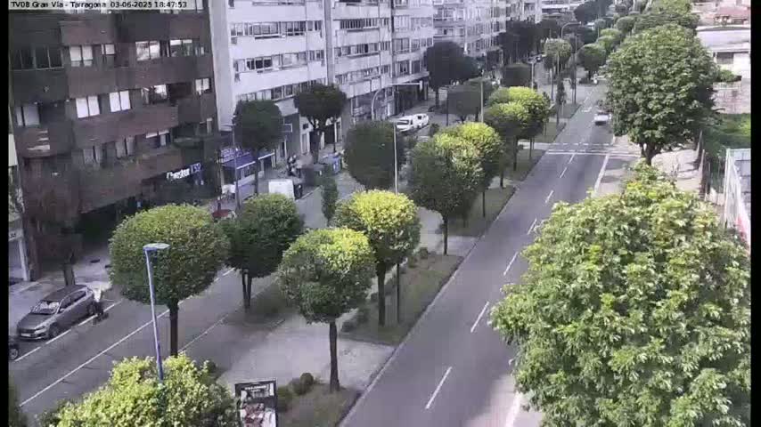 A street lined with trees and buildings, with a few cars and pedestrians visible on a sunny day.