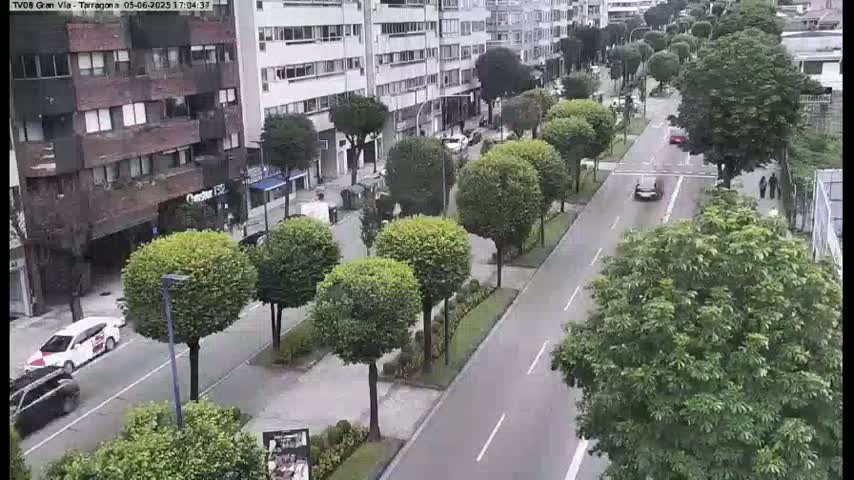 A city street lined with trees and buildings, with several cars driving on a wet road.