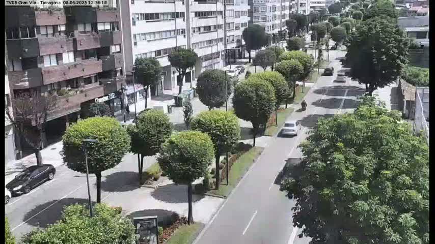 A sunny street scene shows a two-lane road lined with neatly trimmed trees and parked cars, with several vehicles driving down the road.