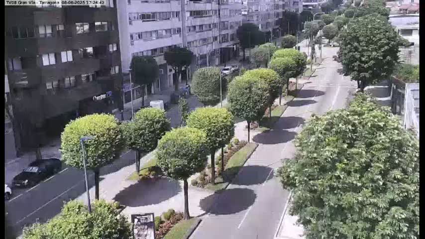 A sunny day reveals a city street lined with trimmed trees and parked cars, alongside multi-story buildings.