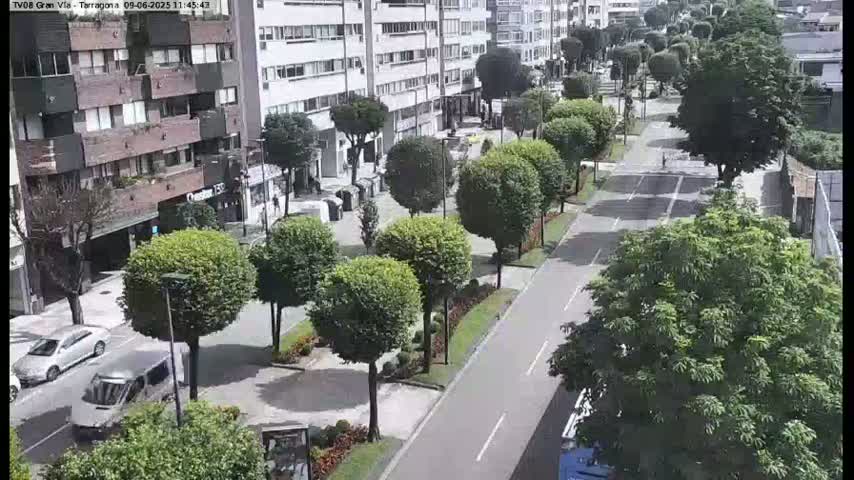 A paved road lined with trimmed trees and parked cars runs alongside multi-story buildings under a sunny sky.
