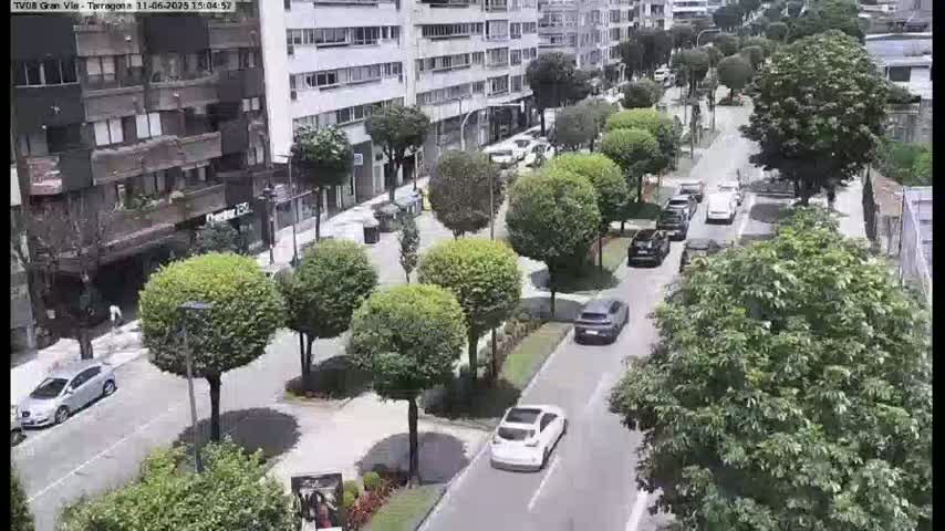 A sunny city street scene shows cars driving down a tree-lined road past multi-story buildings.