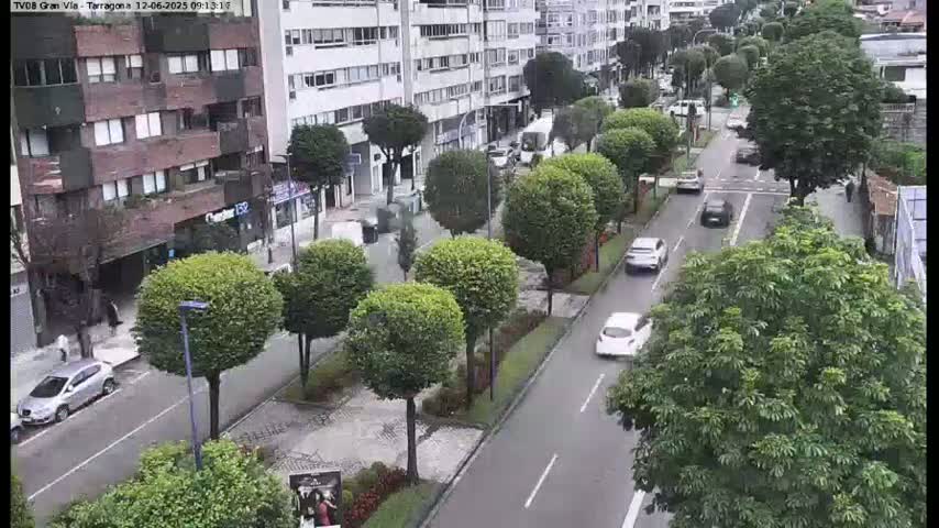 A street scene shows cars driving on a tree-lined road, passing by multi-story buildings on a partly cloudy day.