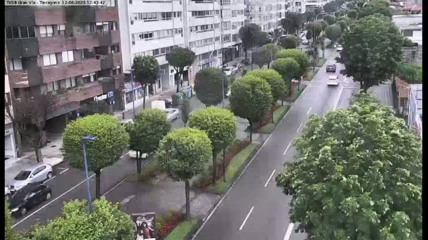 A wet, city street lined with lush green trees and multi-story buildings, showing several cars driving along.