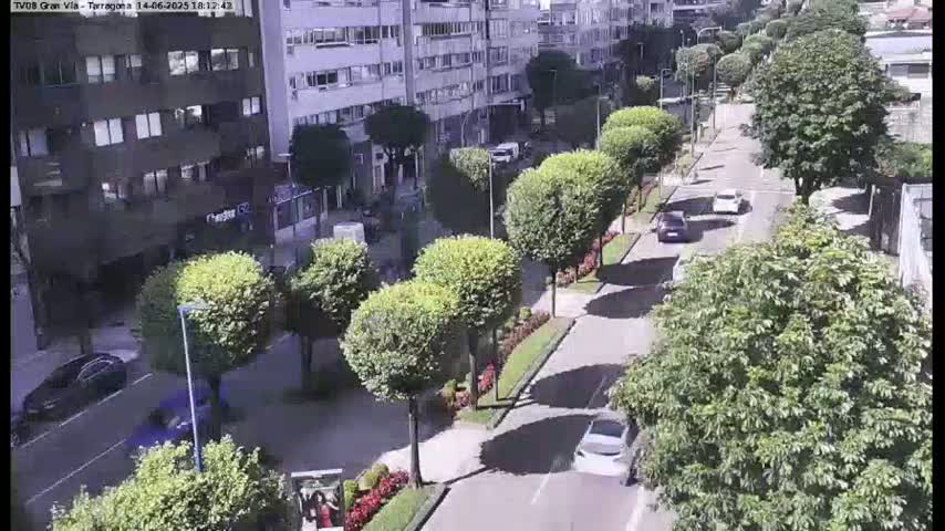 A sunny street lined with lush green trees and several cars driving along it, flanked by buildings.