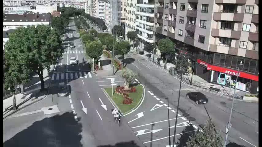 A sunny day shows a cyclist riding down a city street lined with trees and buildings, with several cars driving on the road.