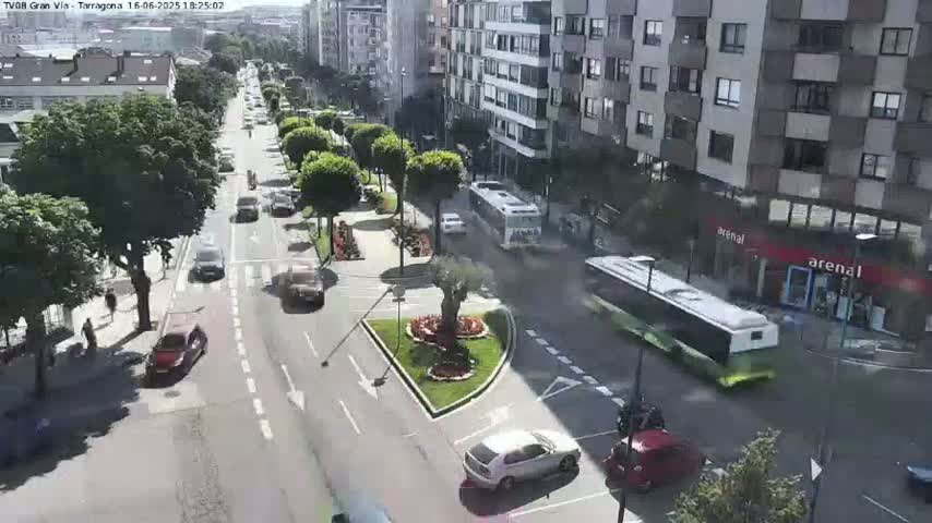 A sunny city street scene shows cars and buses navigating a multi-lane roadway with a landscaped traffic island in the center.