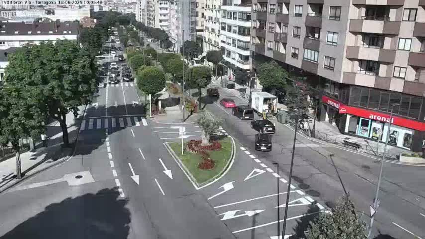 A sunny day shows a city intersection with several cars, a small traffic circle with flowers, and buildings lining a tree-lined street.
