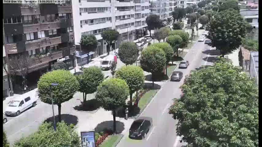 A sunny street scene shows several cars driving on a road lined with lush green trees and buildings.