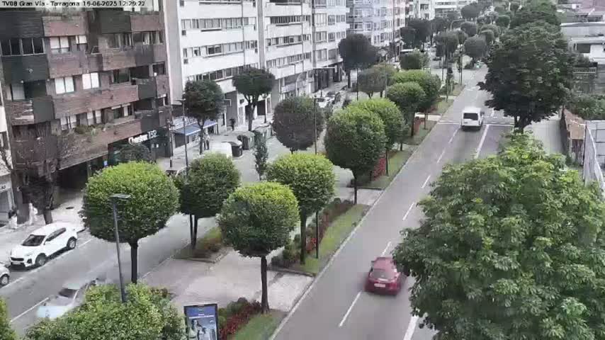 A street scene shows several cars driving on a road lined with lush green trees and apartment buildings under a partly cloudy sky.