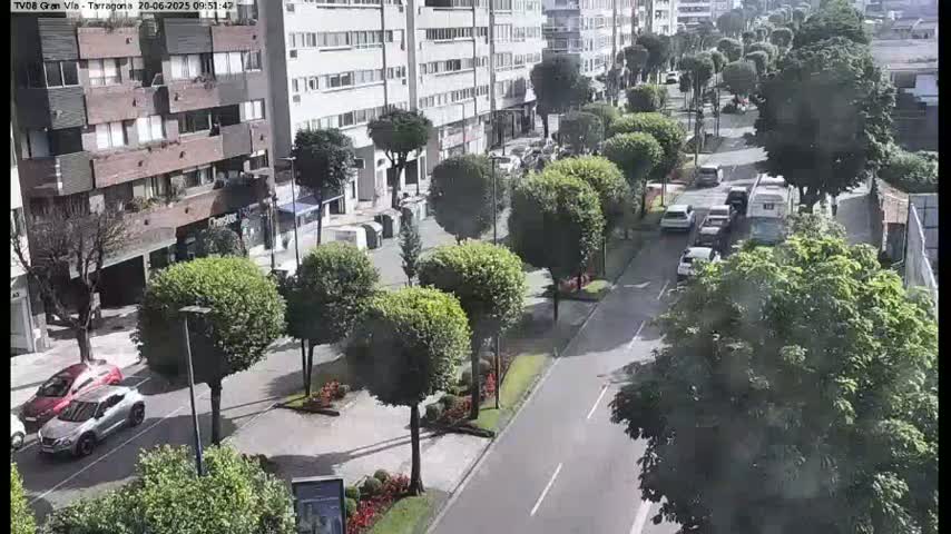A sunny street scene shows a row of parked cars and several buildings, bordered by leafy green trees and shrubs.