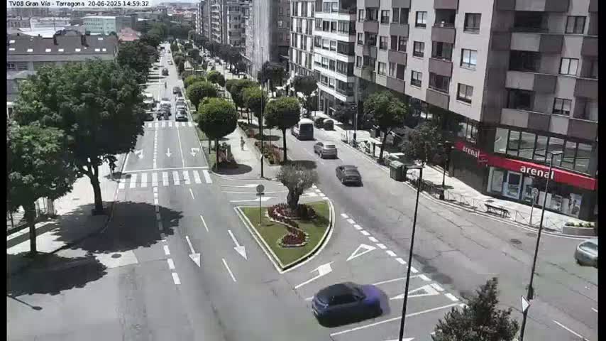 A sunny day view of a city street with several cars driving on a roadway lined with trees and buildings.