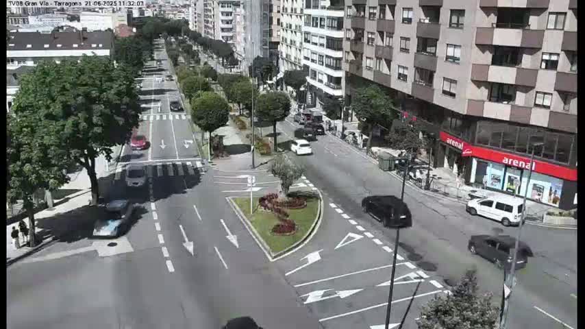 A sunny day shows several cars driving on a city street lined with trees and buildings.