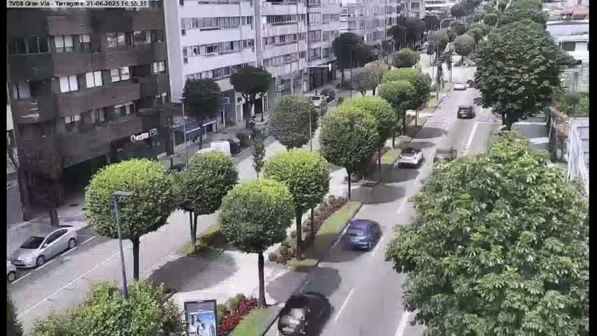 A sunny city street scene shows several cars driving on a road lined with short, green trees and buildings on either side.