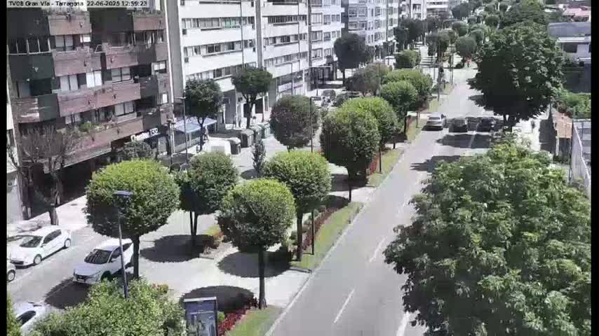 A sunny street scene shows a tree-lined roadway with parked and moving cars, apartment buildings, and lush green foliage.