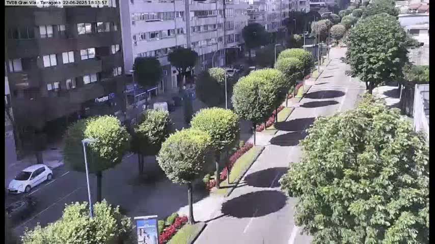 A sunny city street lined with evenly spaced, round, green trees casts shadows on a paved road bordered by buildings and low shrubs.