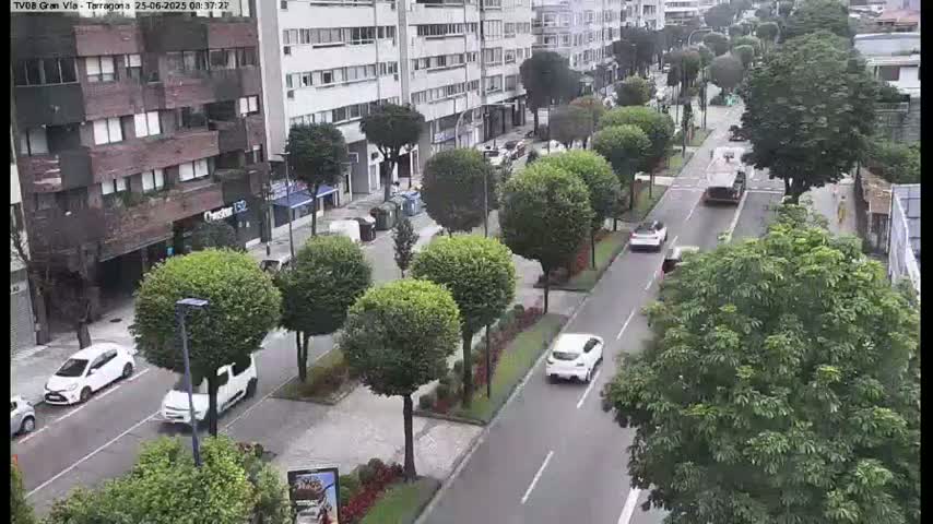 A city street scene shows several cars driving on a roadway lined with lush green trees and apartment buildings.