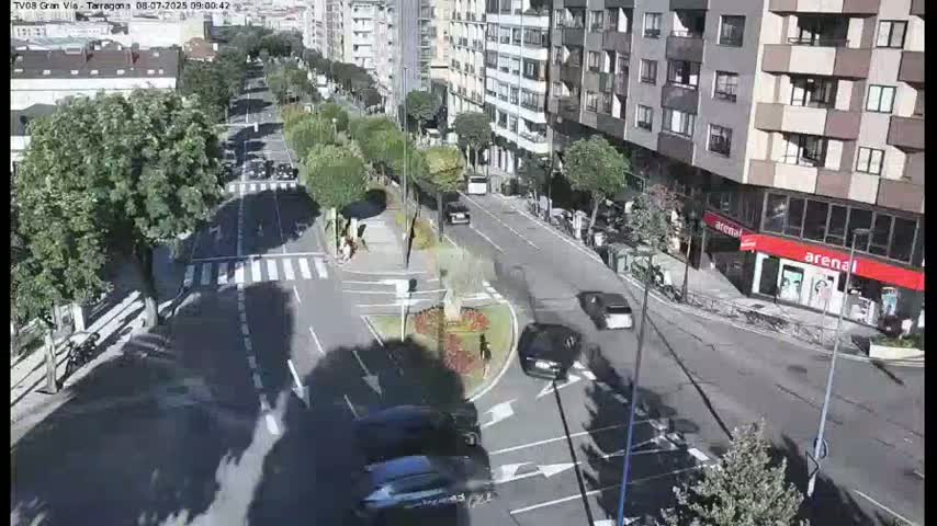A sunny city street scene shows several cars driving along a multi-lane road, passing by buildings and pedestrian crossings lined with trees.