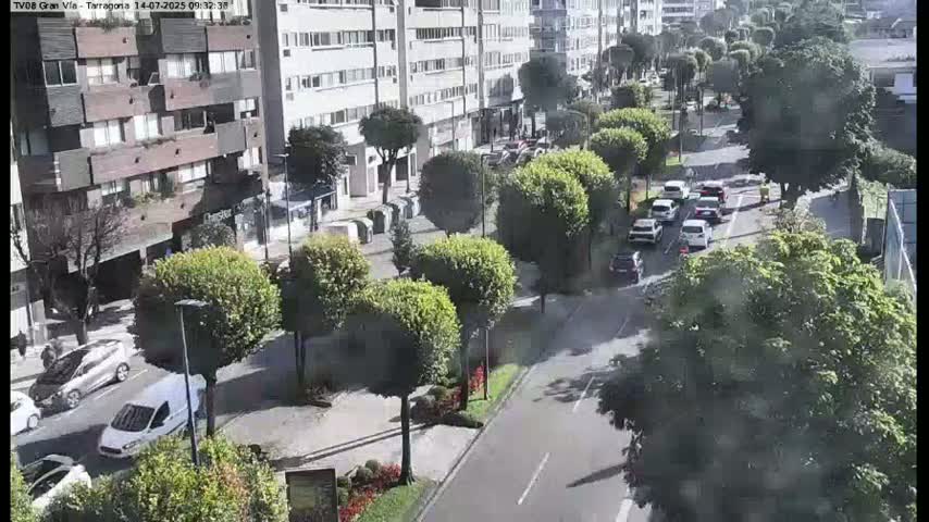 A sunny street scene shows a multi-lane road with cars driving past apartment buildings and rows of leafy green trees lining the sidewalks.