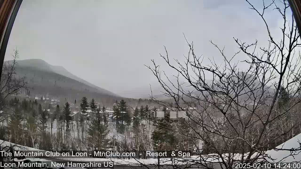 A snow-covered winter landscape is viewed from a window, showing bare trees in the foreground and a mountain range in the background under an overcast sky.