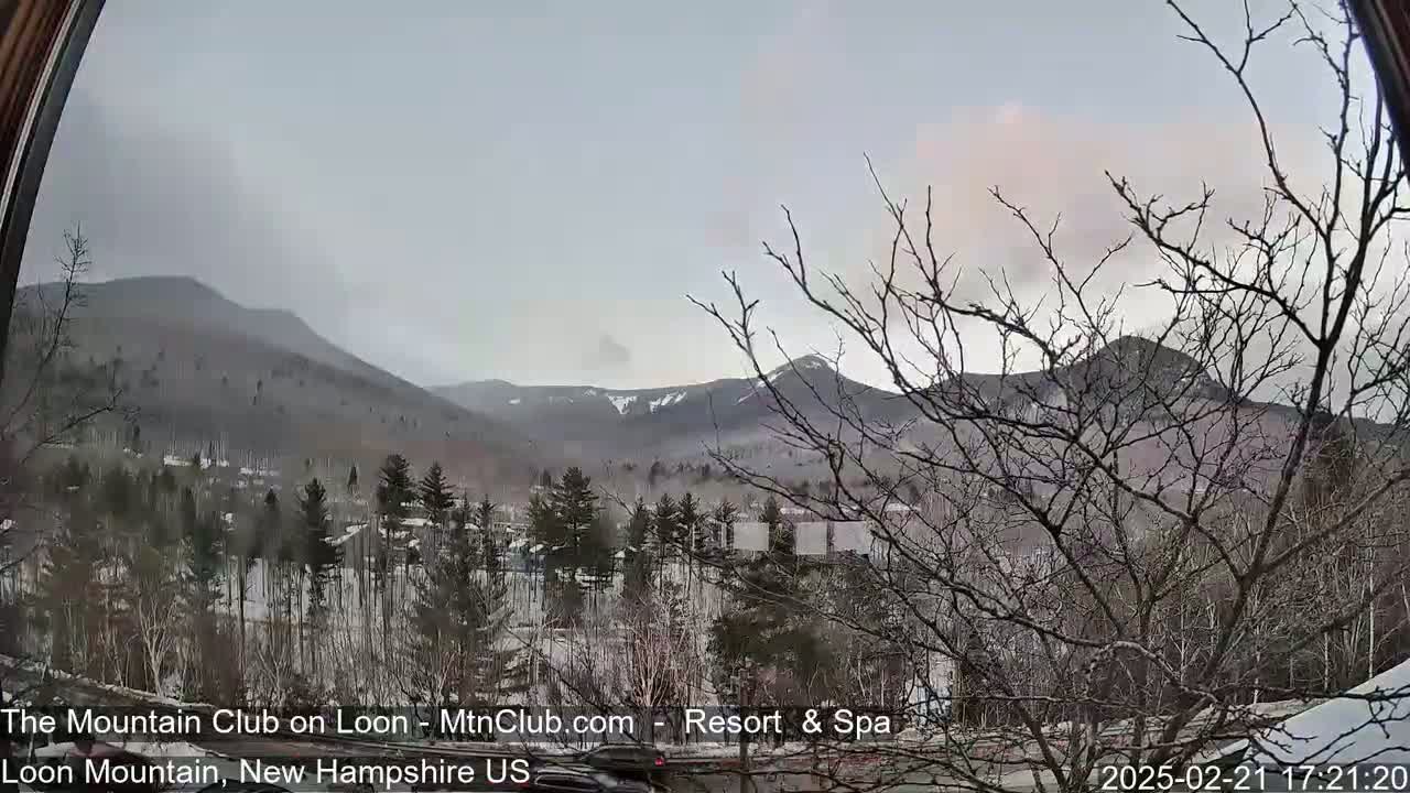 A snow-covered landscape with bare trees in the foreground and mountains in the background under an overcast sky.