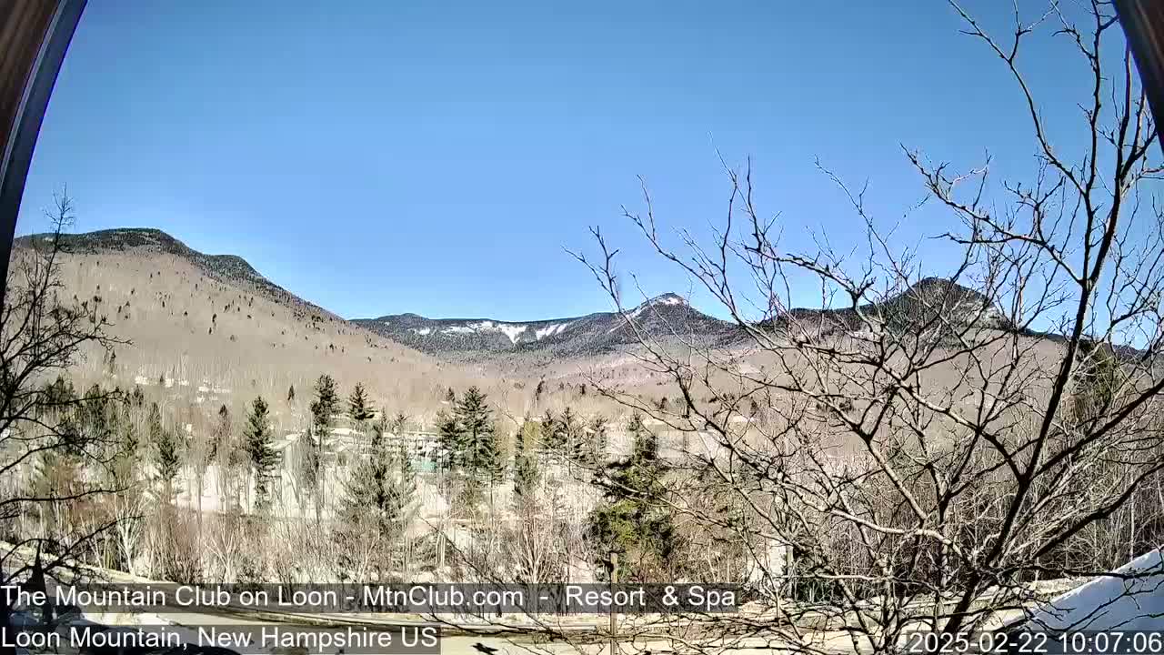 A view of snow-capped mountains under a clear blue sky, with bare trees in the foreground.