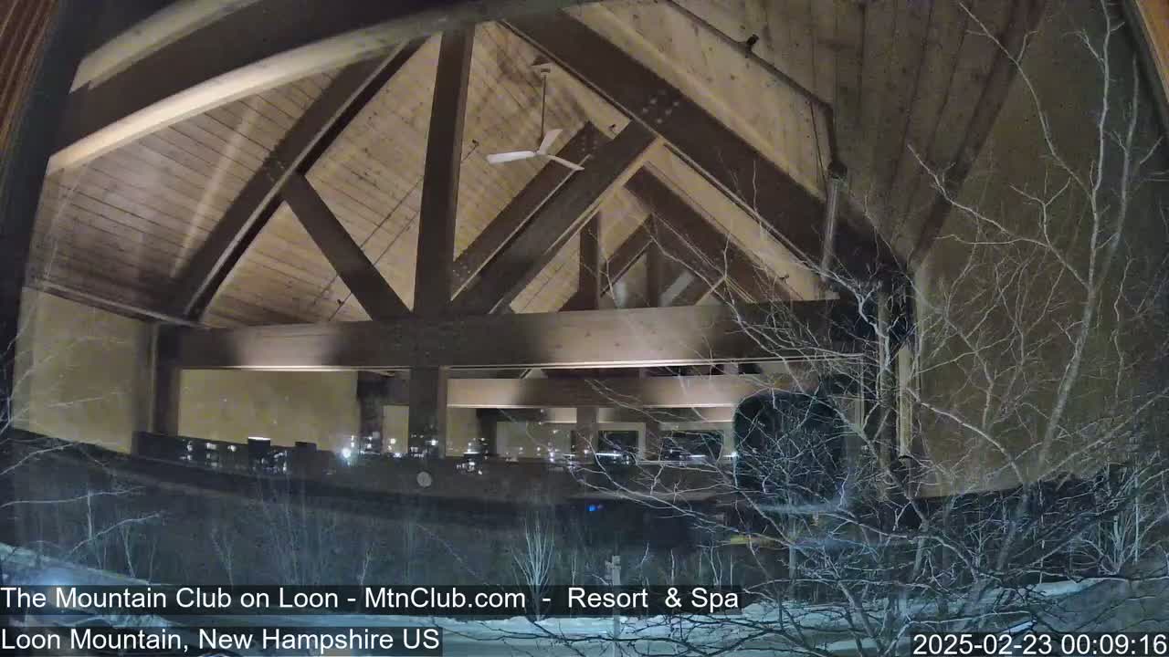 A nighttime view through a window shows a large, wood-beamed interior space with a ceiling fan, partially obscured by snow-covered, leafless branches.