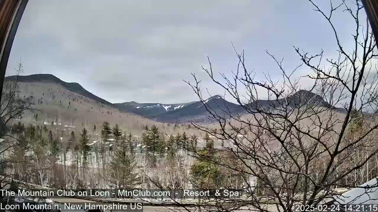 A view through a window shows snow-dusted mountains in the distance, under an overcast sky, with bare trees and some snow-covered ground in the foreground.