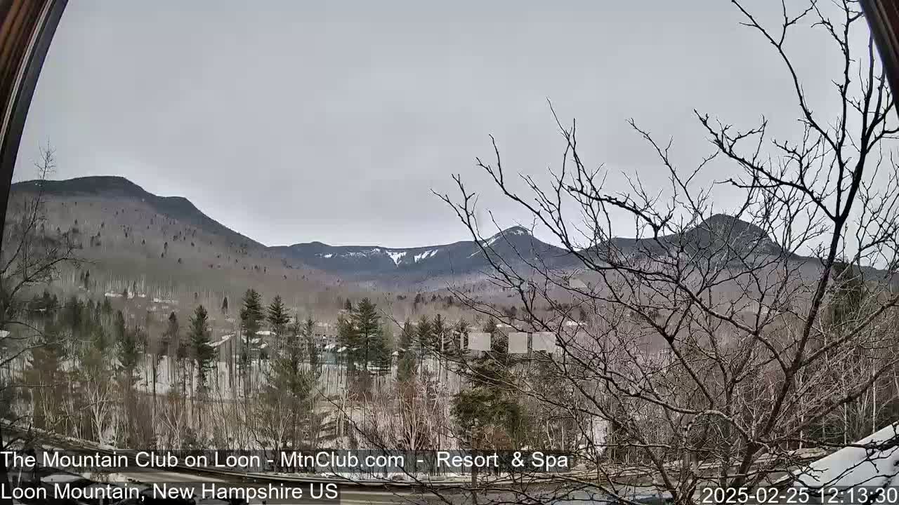 A view through a window shows snow-dusted mountains in the distance under an overcast sky, with bare trees and a hint of snow in the foreground.