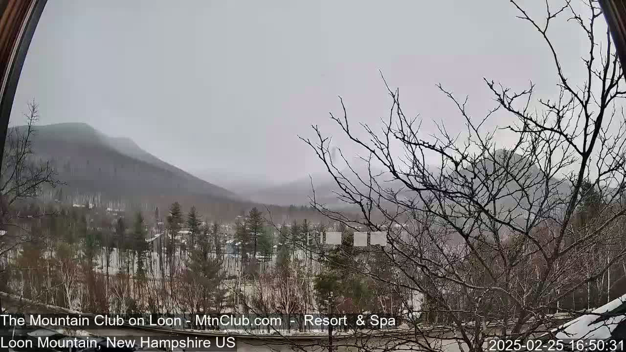 A snow-covered landscape with bare trees in the foreground and mountains in the background under an overcast sky.